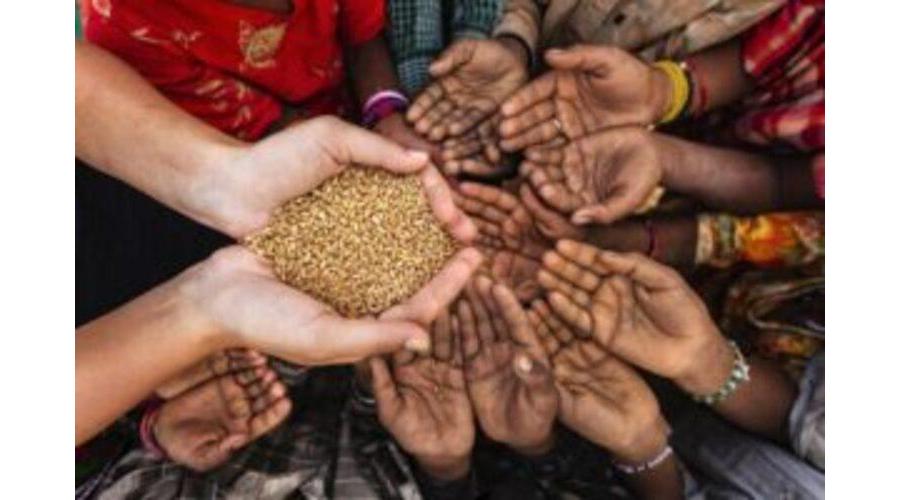 WhatsApp-Image-2026-02-11-at-8.40.08-PM-300x200